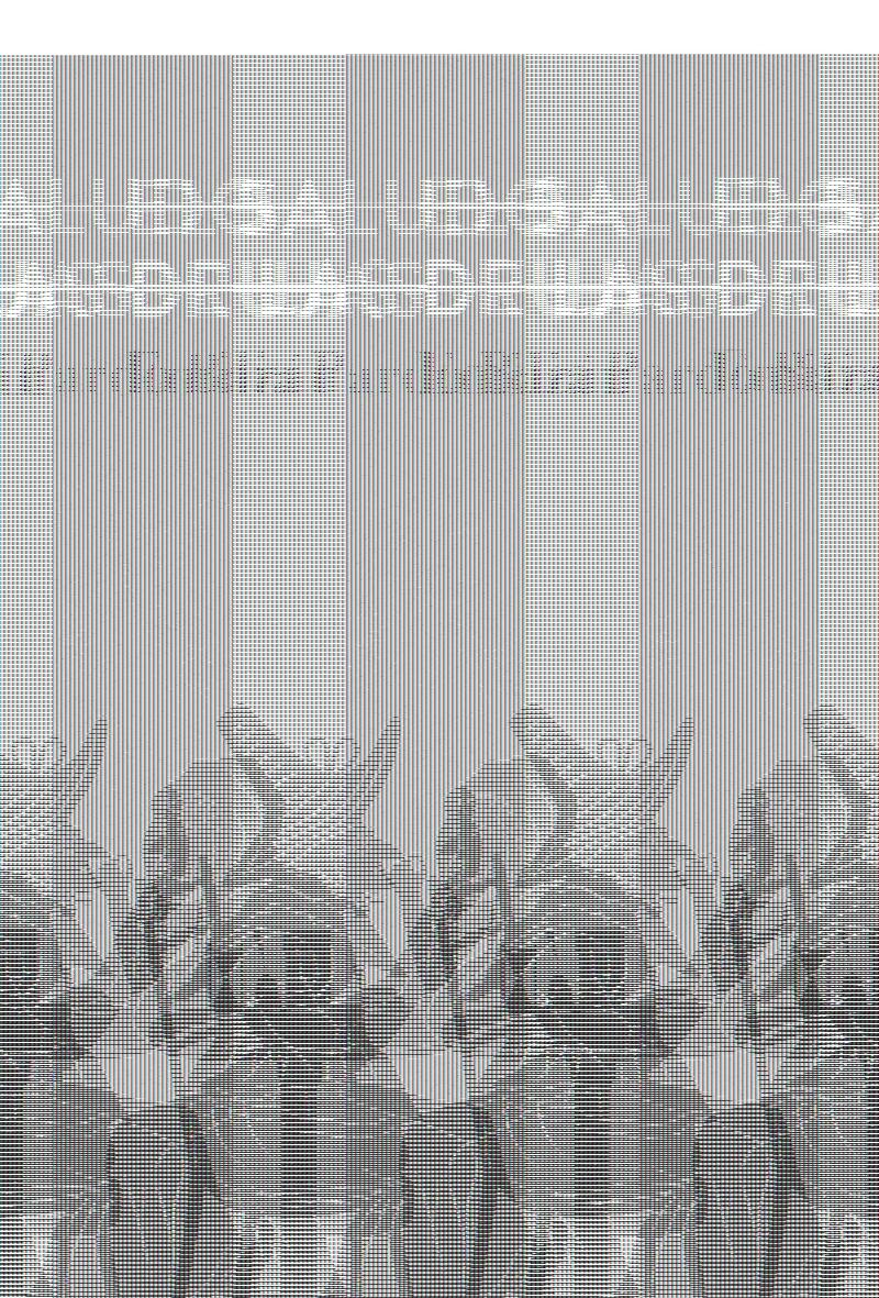 El saludo de las brujas. 9788412245820 El saludo de las brujas. 9788412245820