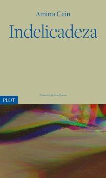 Indelicadeza