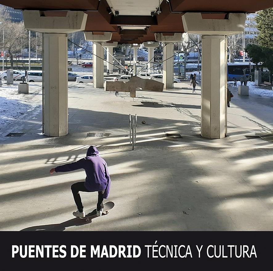 Puentes de Madrid. Técnica y cultura.  9788498734898