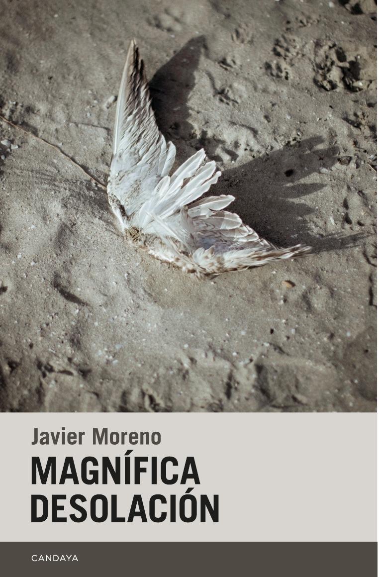 MAGNIFICA DESOLACION.  9788418504563