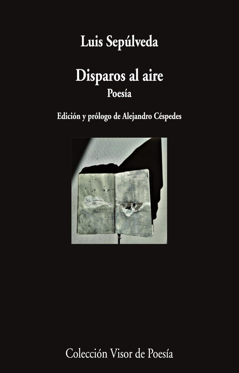 DISPAROS AL AIRE. POESIA