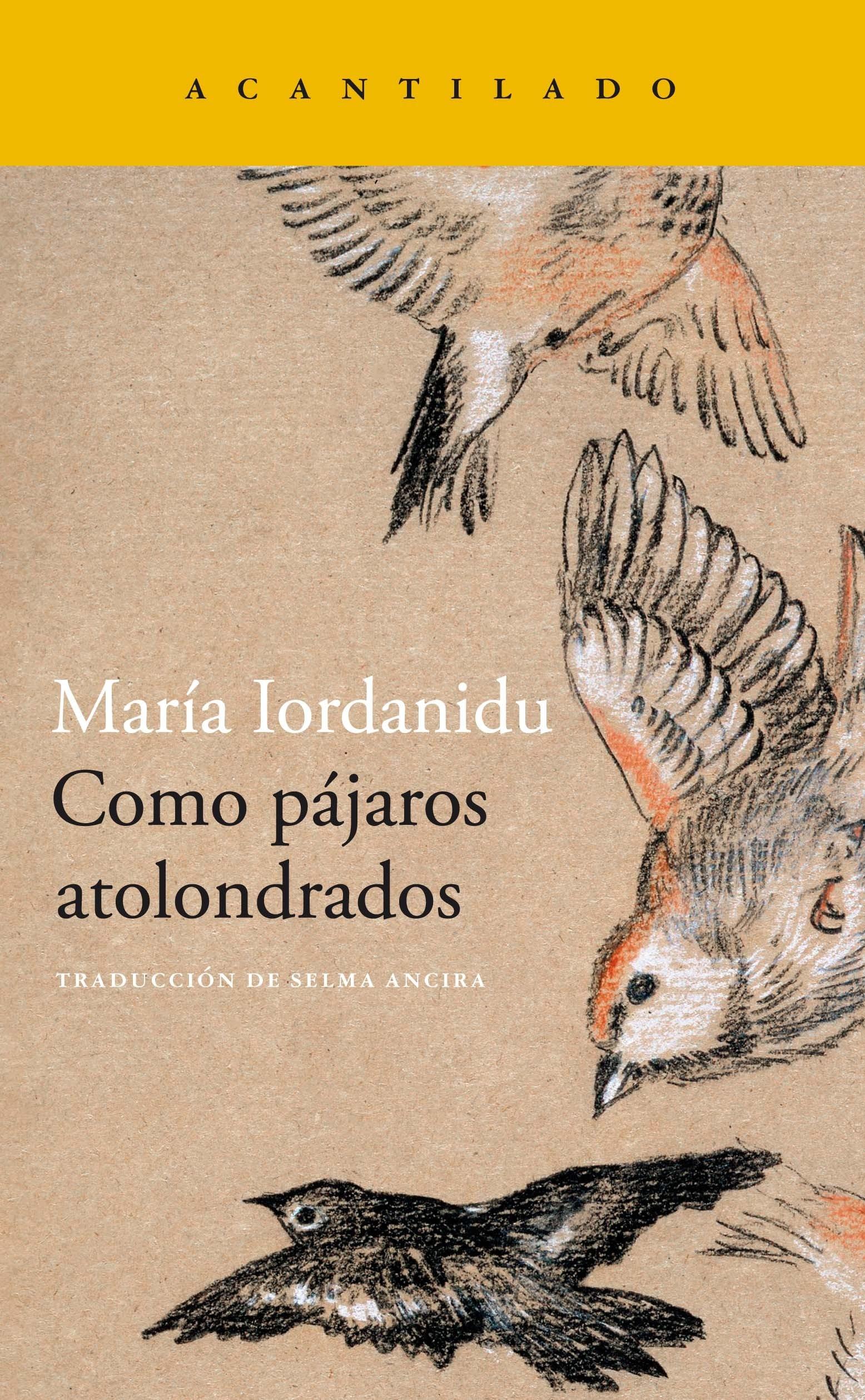 COMO PAJAROS ATOLONDRADOS