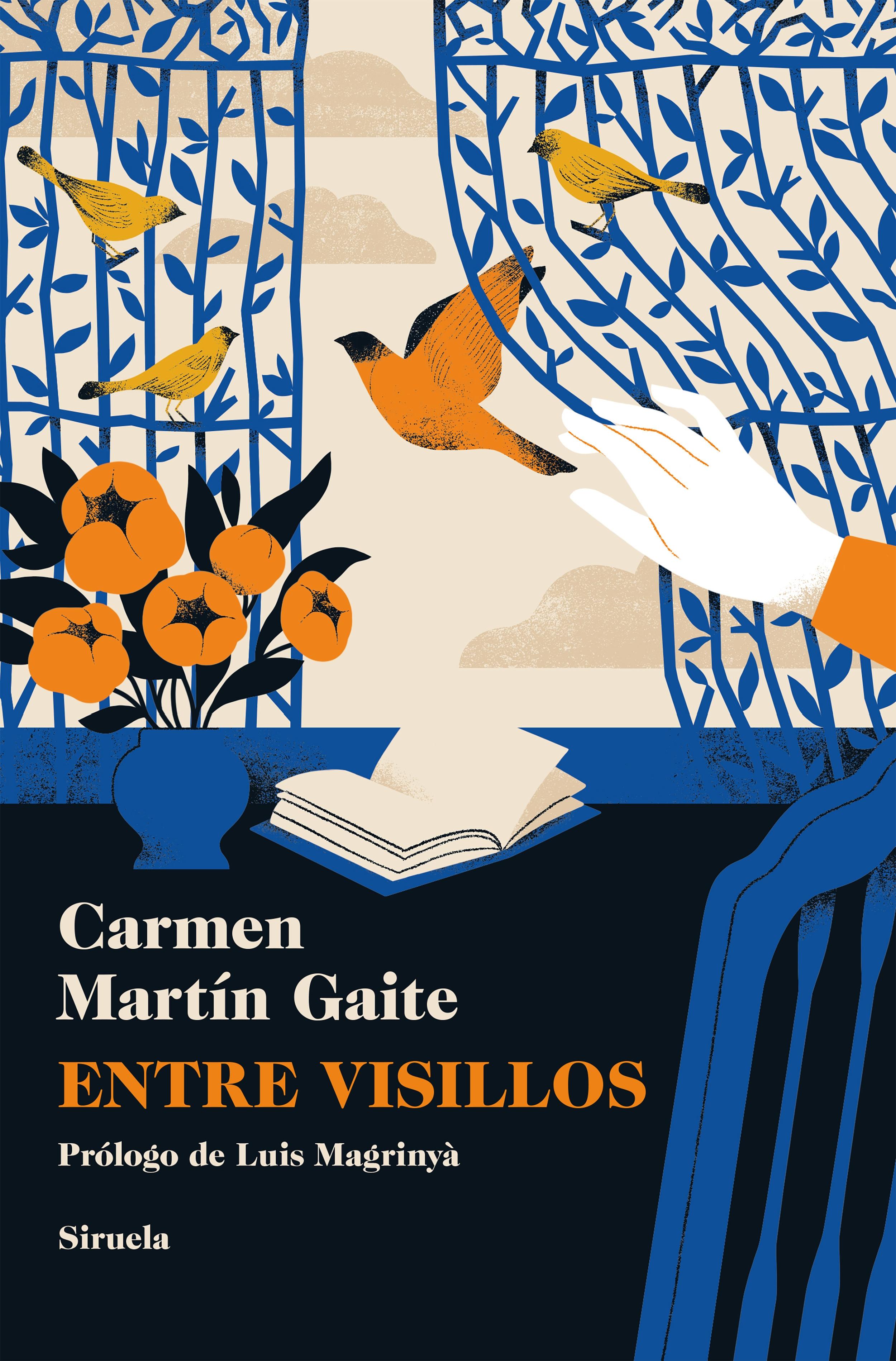 Entre visillos