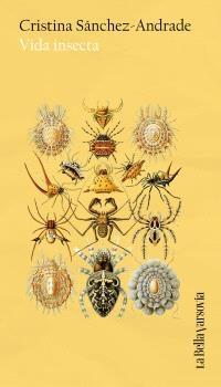 VIDA INSECTA